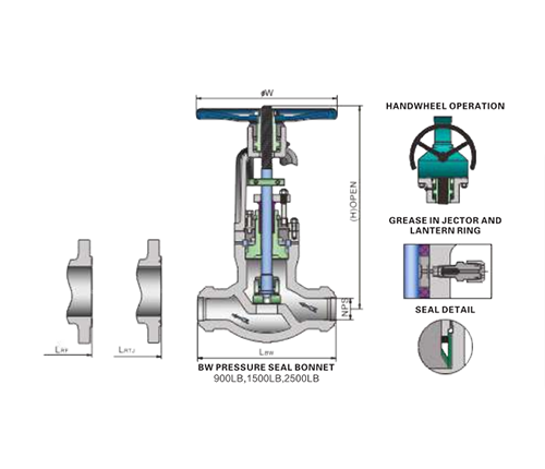 Cast Steel PSB Globe Valve